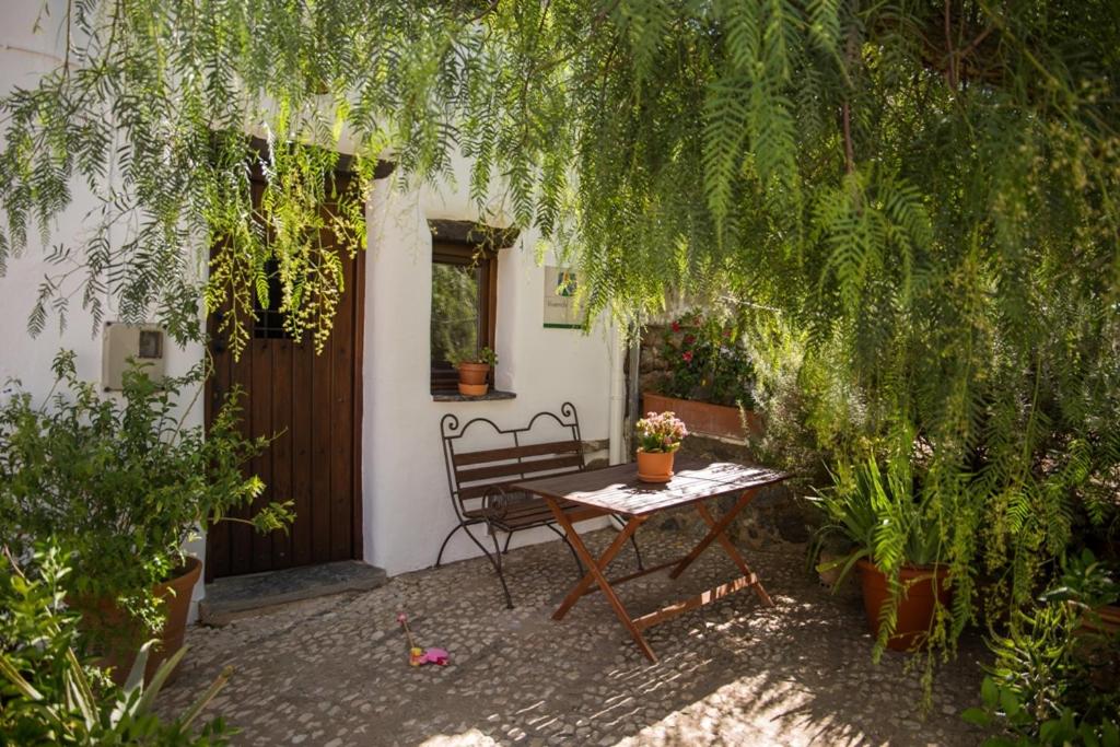 Vonkajšia záhrada v ubytovaní Casa con encanto en Alájar