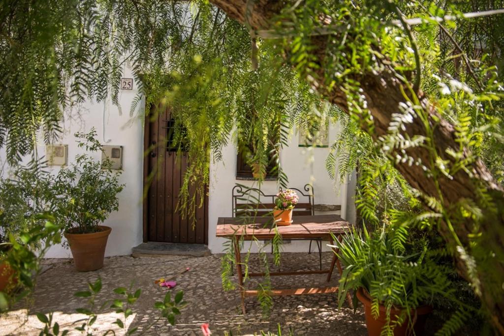 Vonkajšia záhrada v ubytovaní Casa con encanto en Alájar
