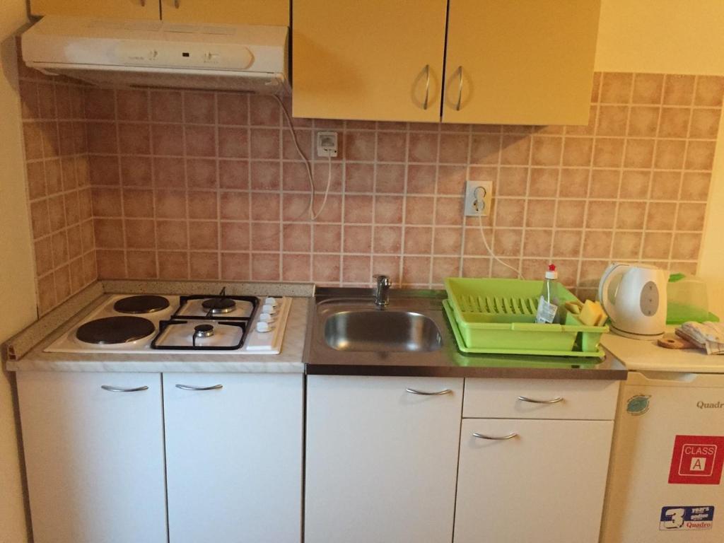 Kuchyňa alebo kuchynka v ubytovaní Studio Apartments MT