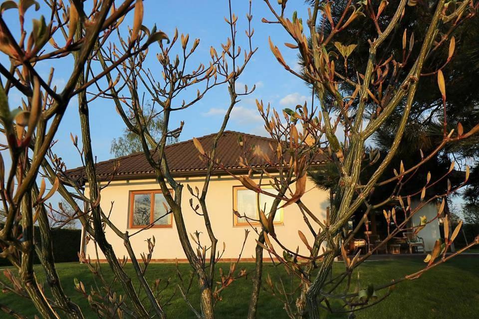 a house is seen through the branches of a tree at Řikovice Prázdninový dům in Morašice