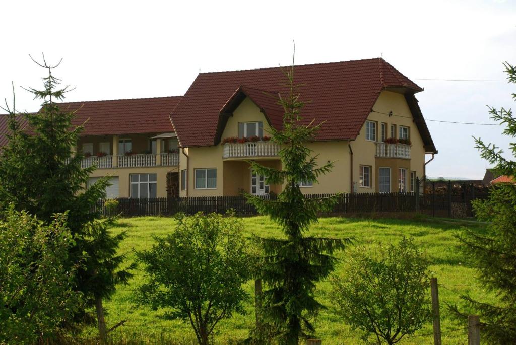 ein Haus mit einem braunen Dach in der Unterkunft Margaréta Vendégház in Lupeni