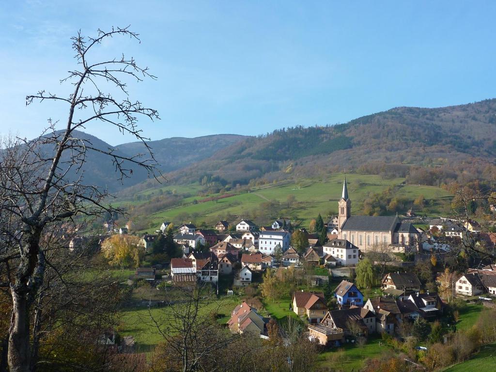 una pequeña ciudad en las colinas con una iglesia en Gîte Schlitteur Et Sapiniere en Breitenbach