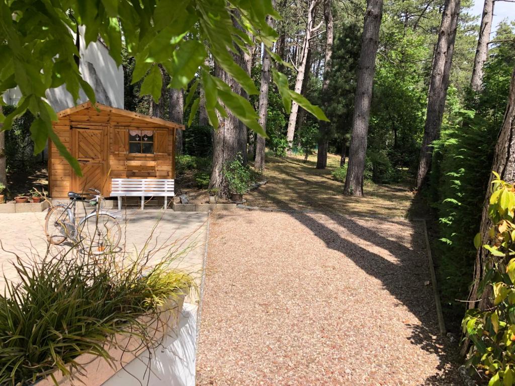 a cabin in the woods with a bench and trees at Maison Sapinettes in Quend
