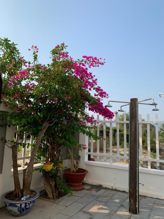 Balkón nebo terasa v ubytování Summering Hotel