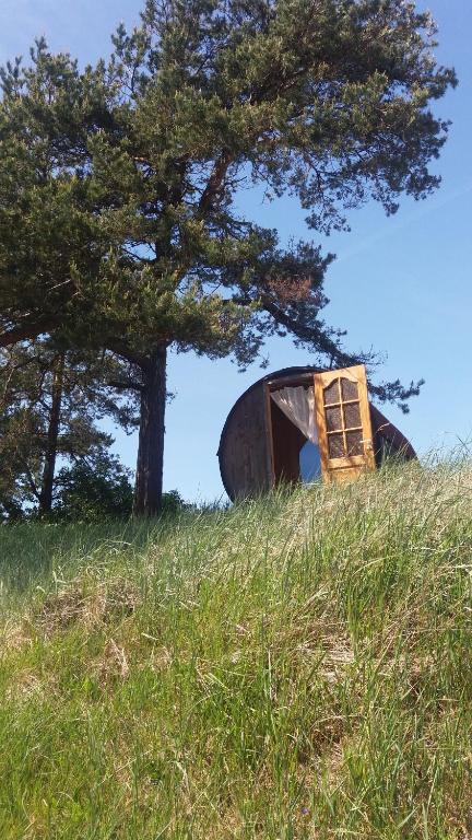 Gaišie - отзывы и видео