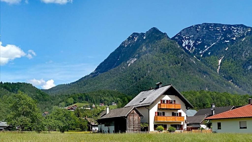 a house in a field with mountains in the background at Haus Moni in Bad Goisern