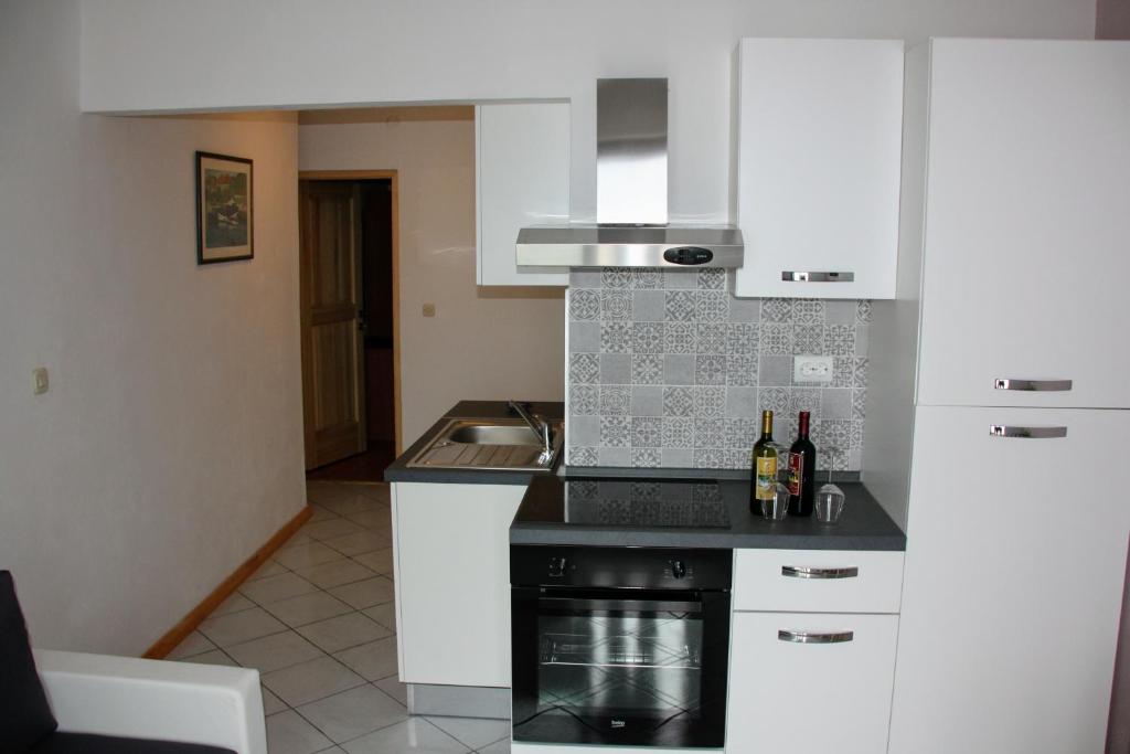 Kuchyň nebo kuchyňský kout v ubytování Guesthouse Santor