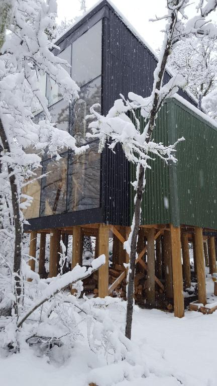 Andrómeda Lodge en invierno