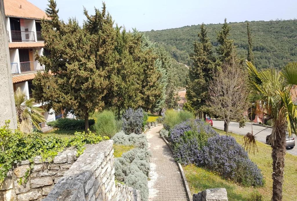 Príroda v okolí apartmánu