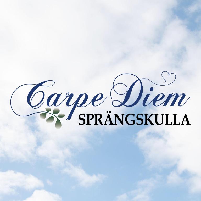 Certifikát, hodnocení, plakát nebo jiný dokument vystavený v ubytování Carpe Diem Sprängskulla