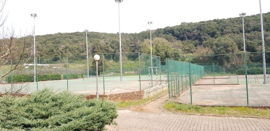 Tenis alebo squash v ubytovaní Simic Studio Apartment alebo jeho okolí