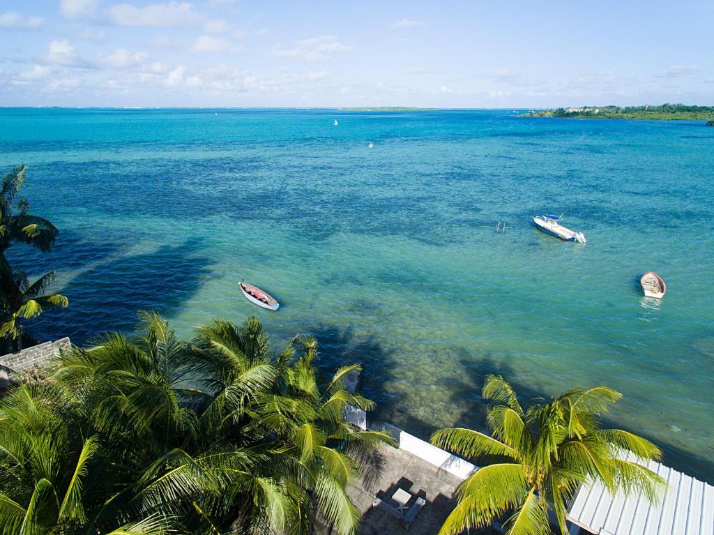 a group of boats in the water with palm trees at Auberge SeaFever in Mahébourg