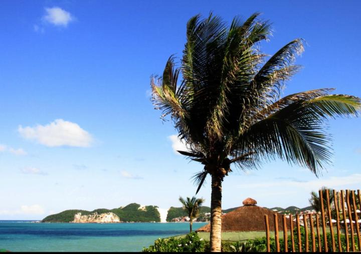 een palmboom op een strand met de oceaan bij Atlântico Flat in Natal