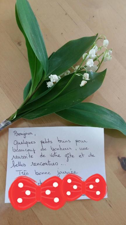 Fleur de Vigne – photo 31