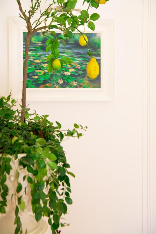 Fotografie z fotogalerie ubytování Hotel Royal Prisco v destinaci Positano