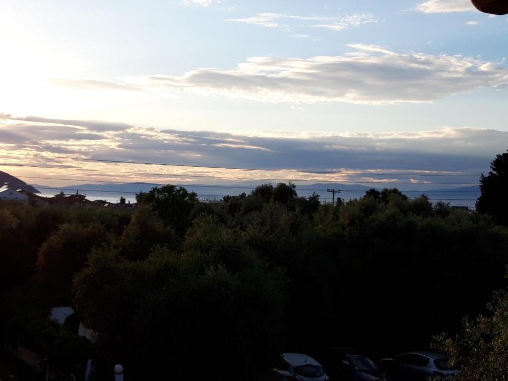 Příroda nedaleko aparthotelu