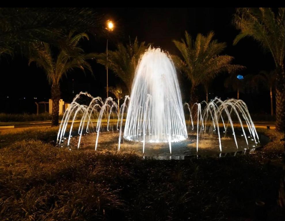  Evian Thermas Residence Caldas Novas