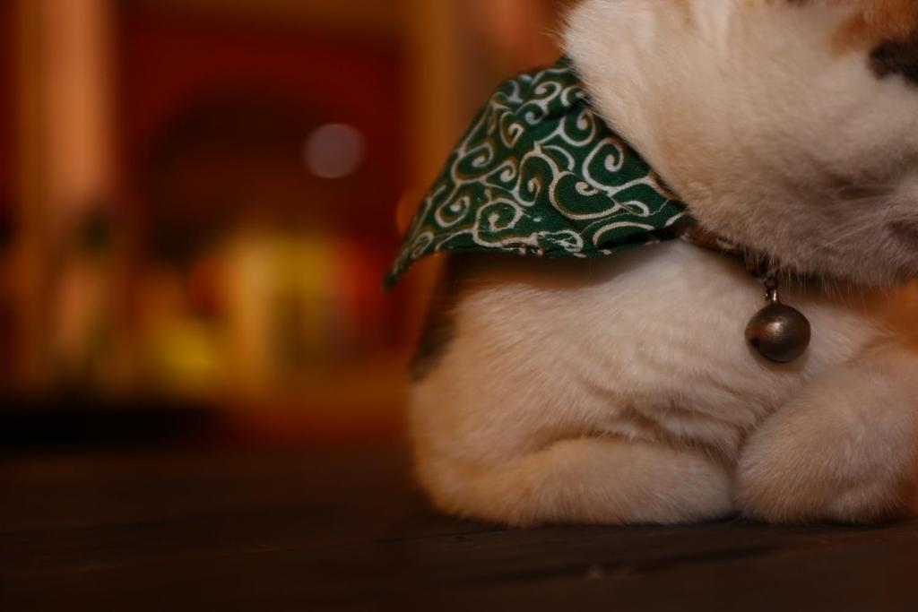 a teddy bear wearing a green and white bow tie at Evening Sun B&amp;B in Green Island