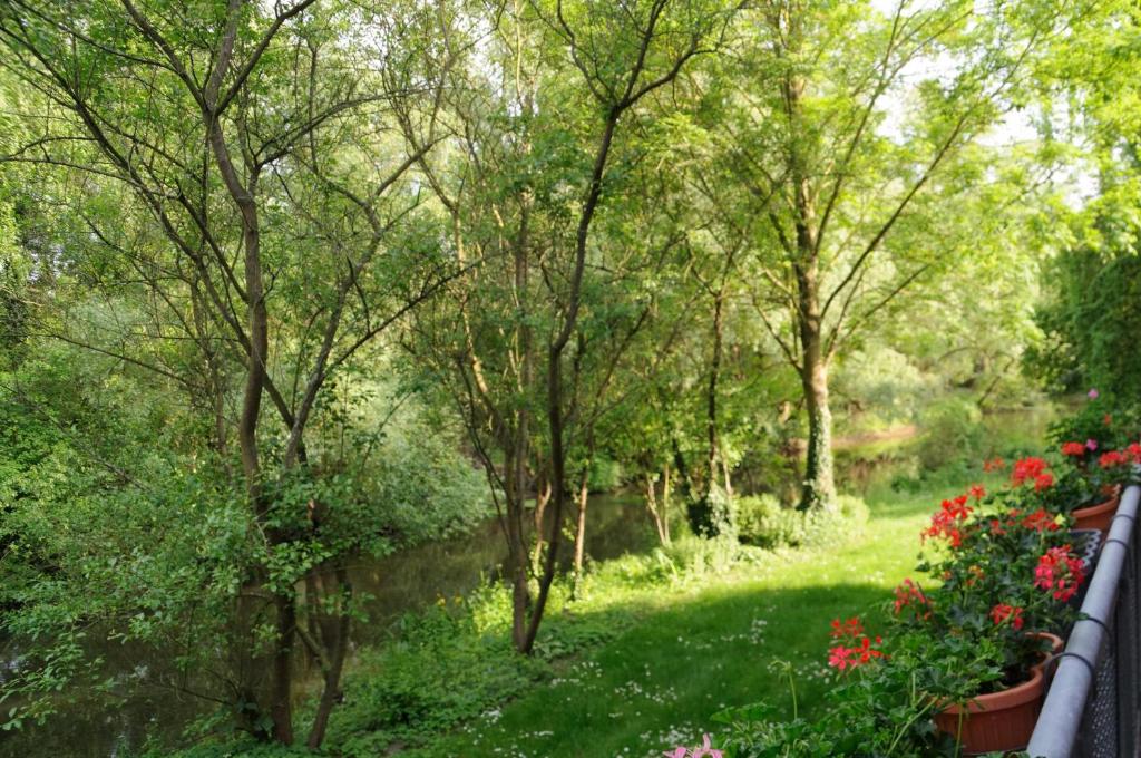 Zahrada ubytování FeWo Lüneburger Heide - Aurelia