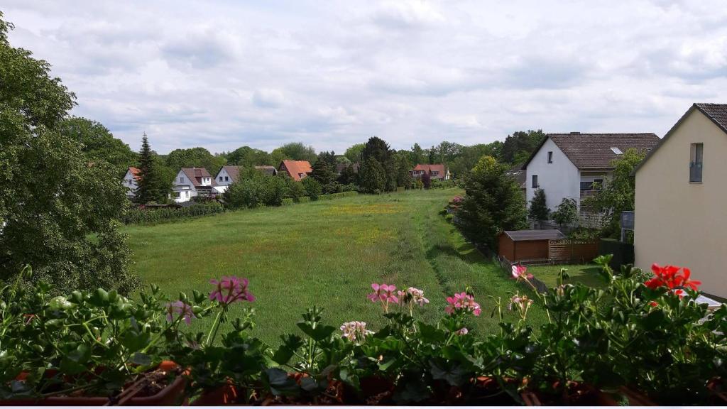 Zahrada ubytování FeWo Lüneburger Heide - Hans-Hermann