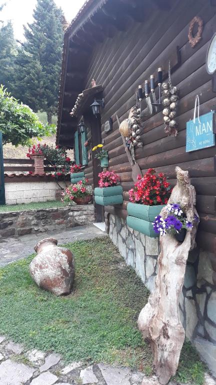Zahrada ubytování Traditional Guesthouse