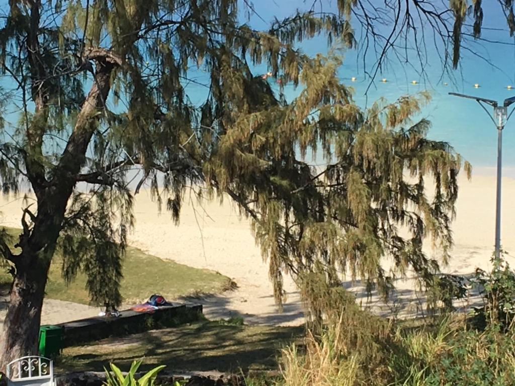 Bella Guesthouse Charming Beachfront Stay - 8