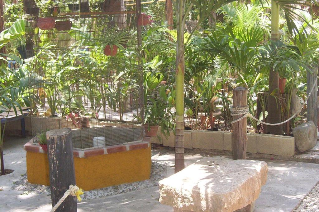 Zahrada ubytování Posada El Jardin