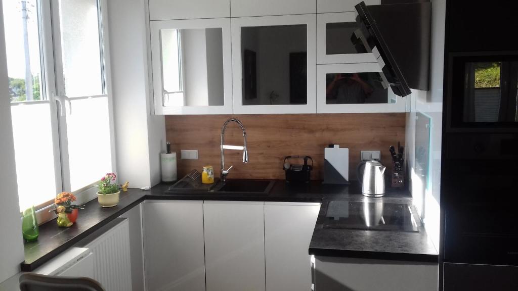 Kuchyňa alebo kuchynka v ubytovaní Apartament u Janka