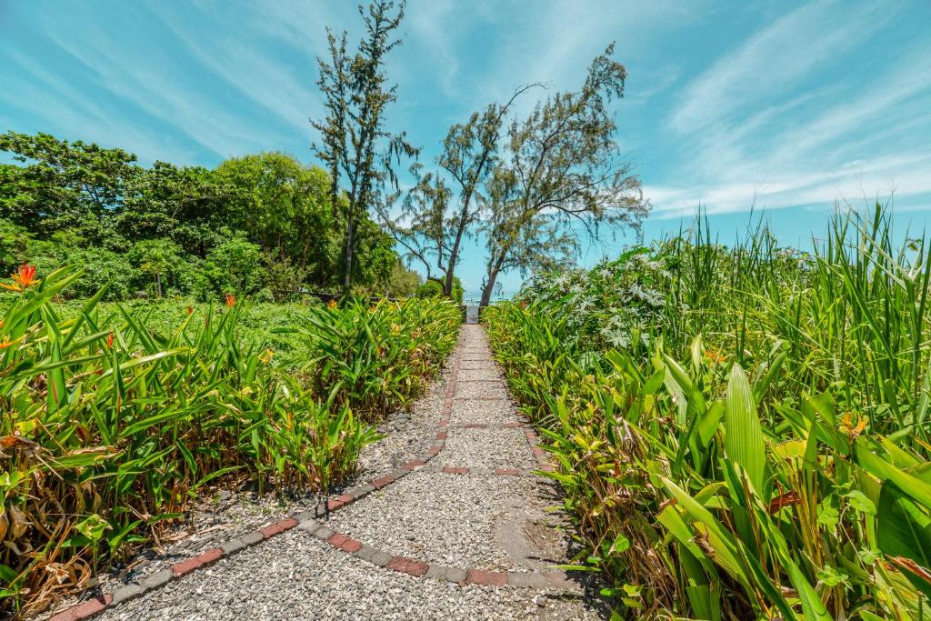 Bella Guesthouse Charming Beachfront Stay - 5