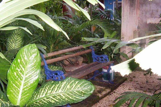 Zahrada ubytování Posada El Jardin