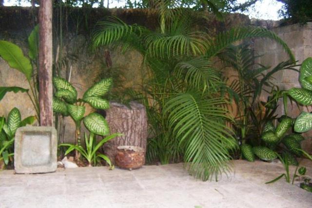 Zahrada ubytování Posada El Jardin