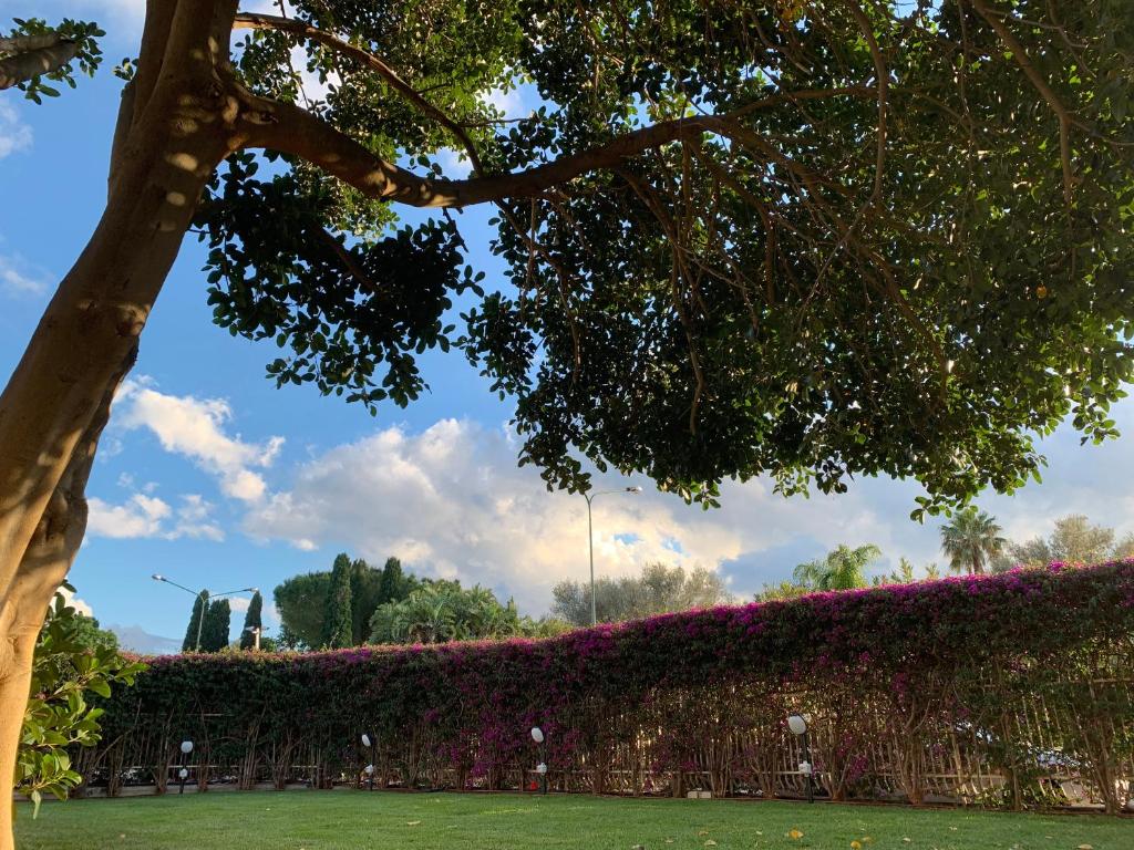 a hedge with pink flowers in a park at Il Giardino di Venere in Mondello