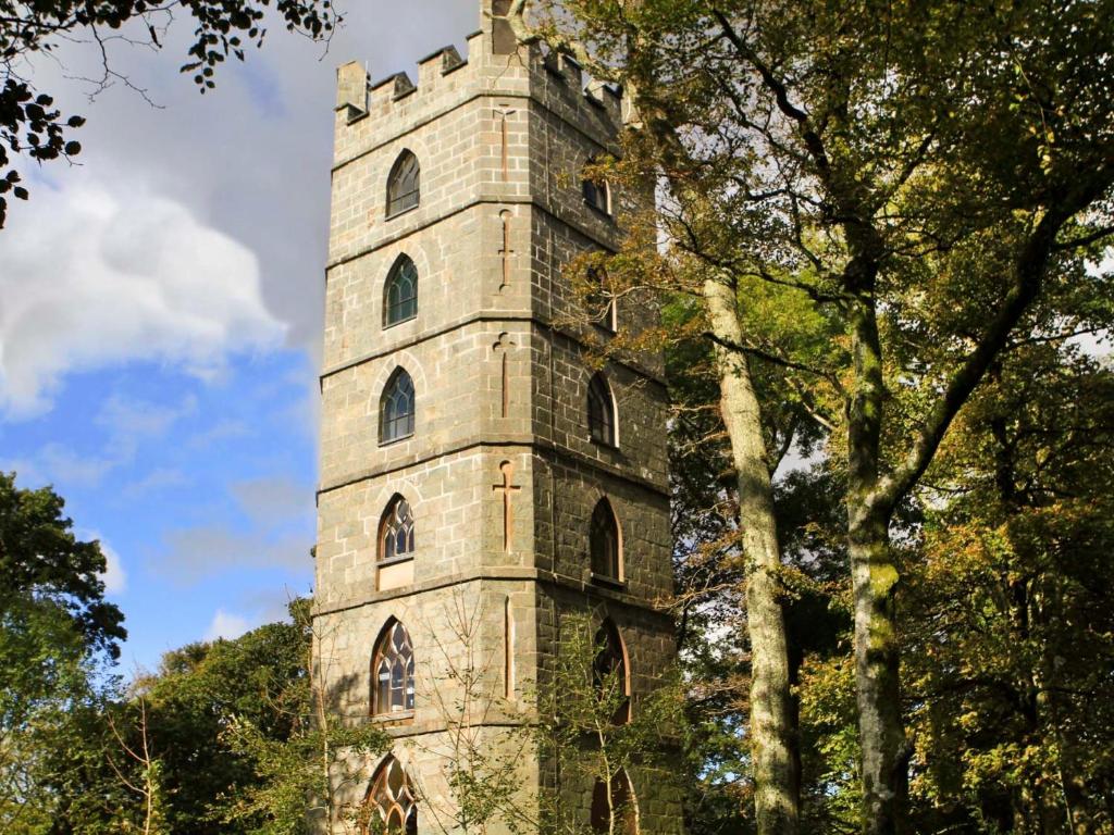 Llanfihangel-y-pennant的住宿－Brynkir Tower，树中间的高高的石塔