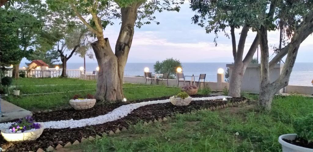 Zahrada ubytování Hotel Paraktio