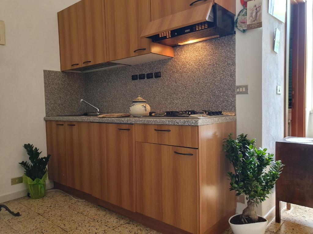 A kitchen or kitchenette at Il Capriolo