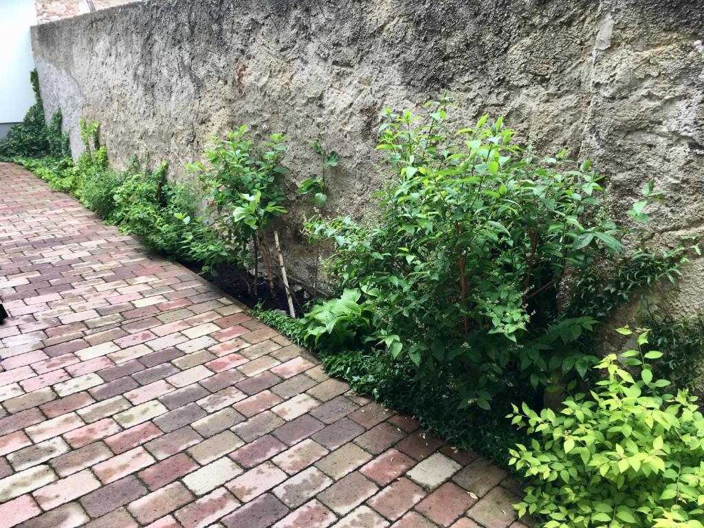 Zahrada ubytování Apartmány U Vavřince
