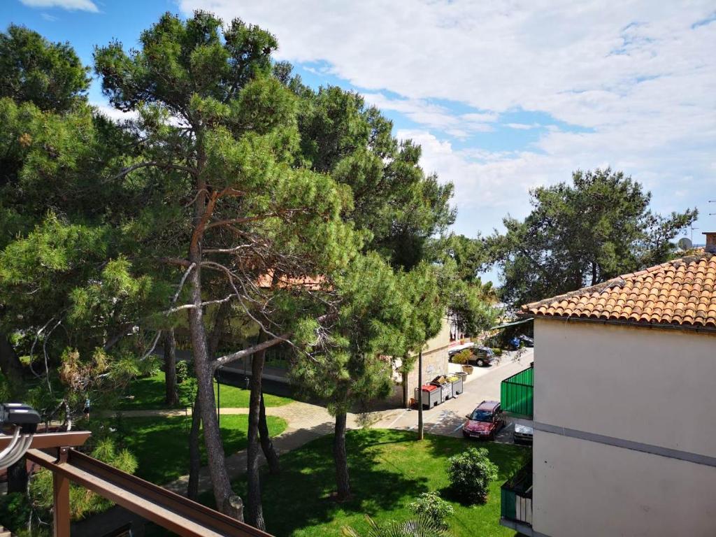 Apartment Sinčić - 7