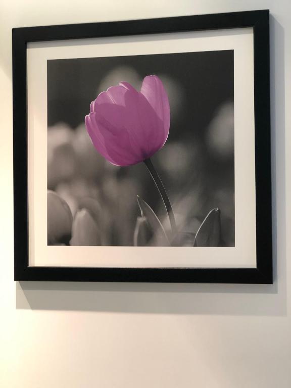 Fotografie z fotogalerie ubytování Maria Home v destinaci Salamanca