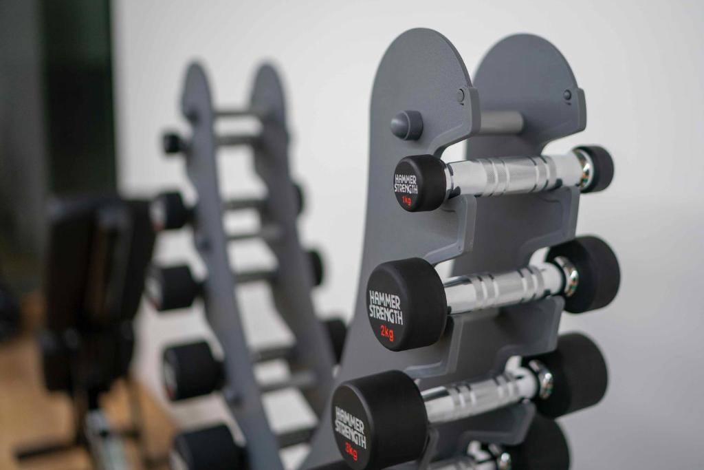 Palestra o centro fitness di SET Hotel.Residence by Teufelhof Basel