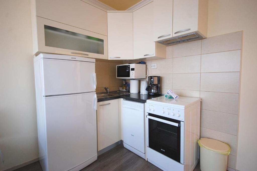 Kuchyňa alebo kuchynka v ubytovaní Apartment Poljak Njivice by El-Pi Tours
