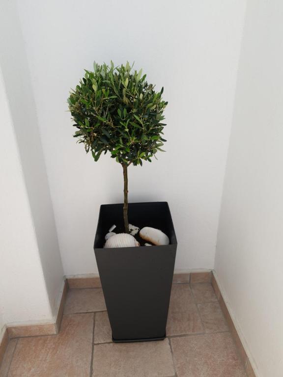 Katerina Apartments & Studios - 10