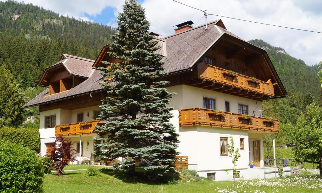 Příroda nedaleko apartmánu
