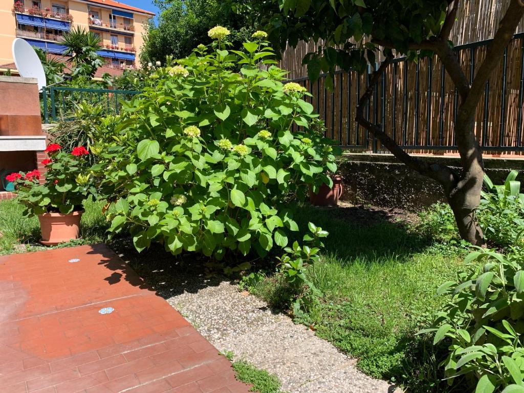 Zdjęcie z galerii obiektu Il giardino dei limoni w mieście Chiavari