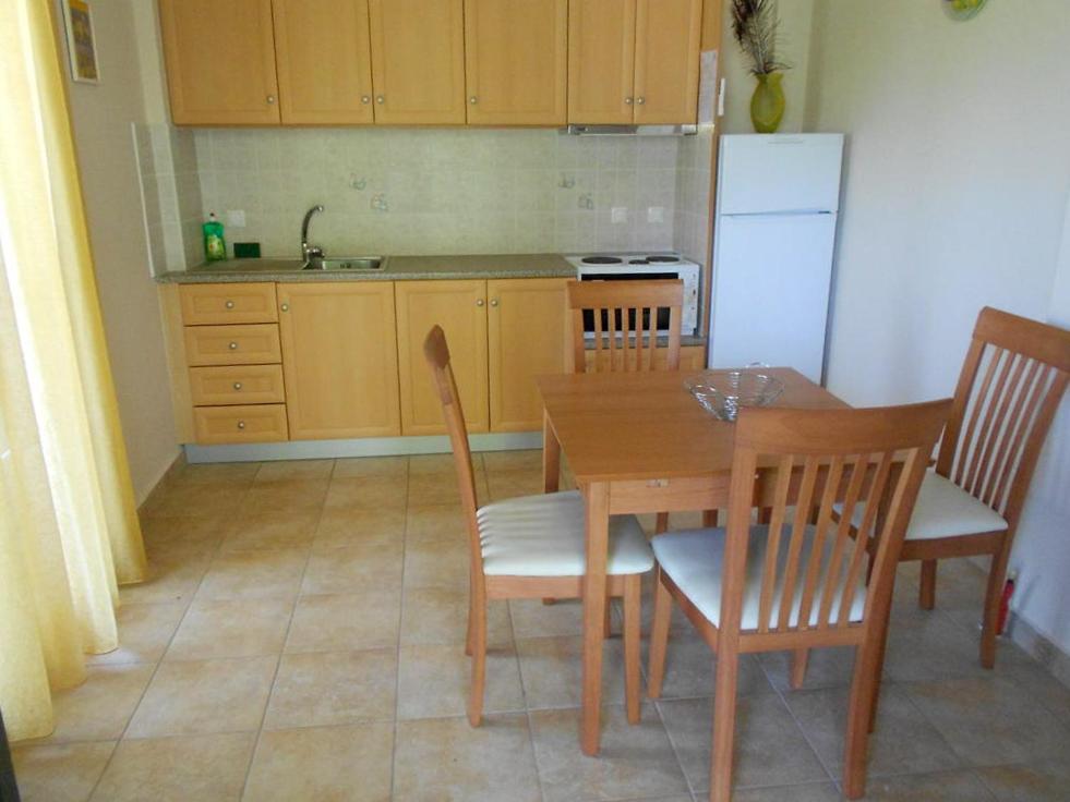 Kuchyň nebo kuchyňský kout v ubytování Villa Swan
