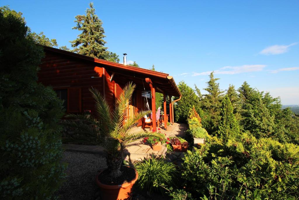 a log cabin in the middle of a forest at Hilltop Hideout in Szentendre