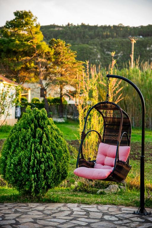 Zahrada ubytování Villa Swan