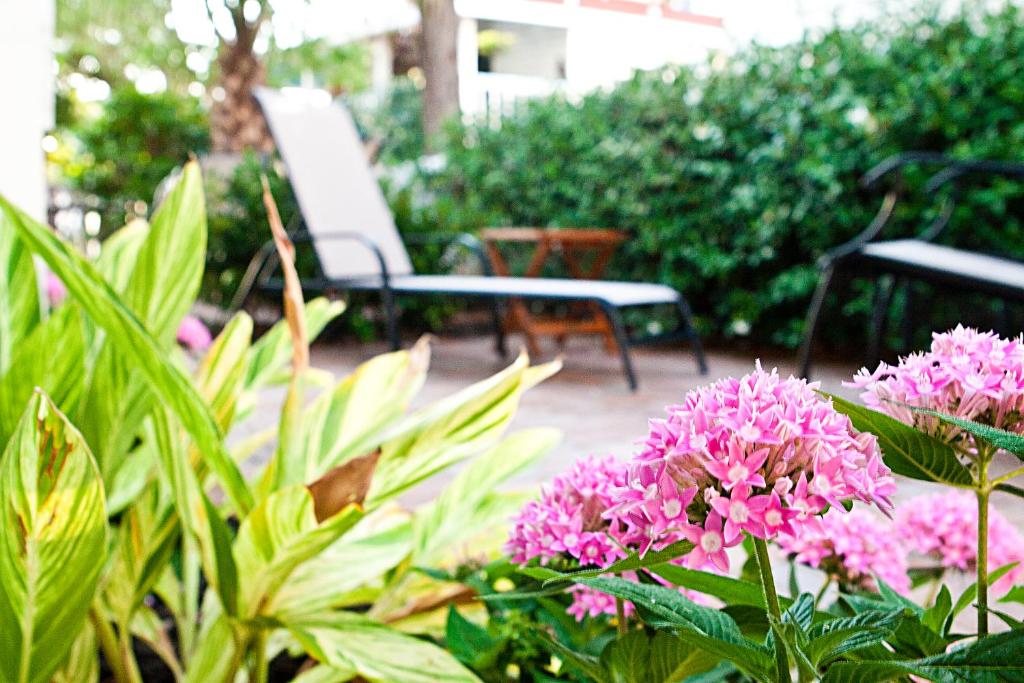 a bunch of pink flowers in a garden at DeSoto Beach Gardens in Tybee Island