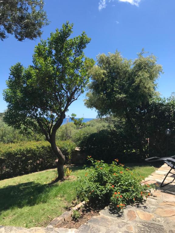 A garden outside Domus Carlotta Apartment with sea view Villasimius