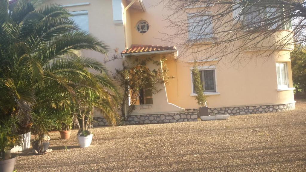 a house with palm trees in front of it at MAISON MARTINOT in Samadet