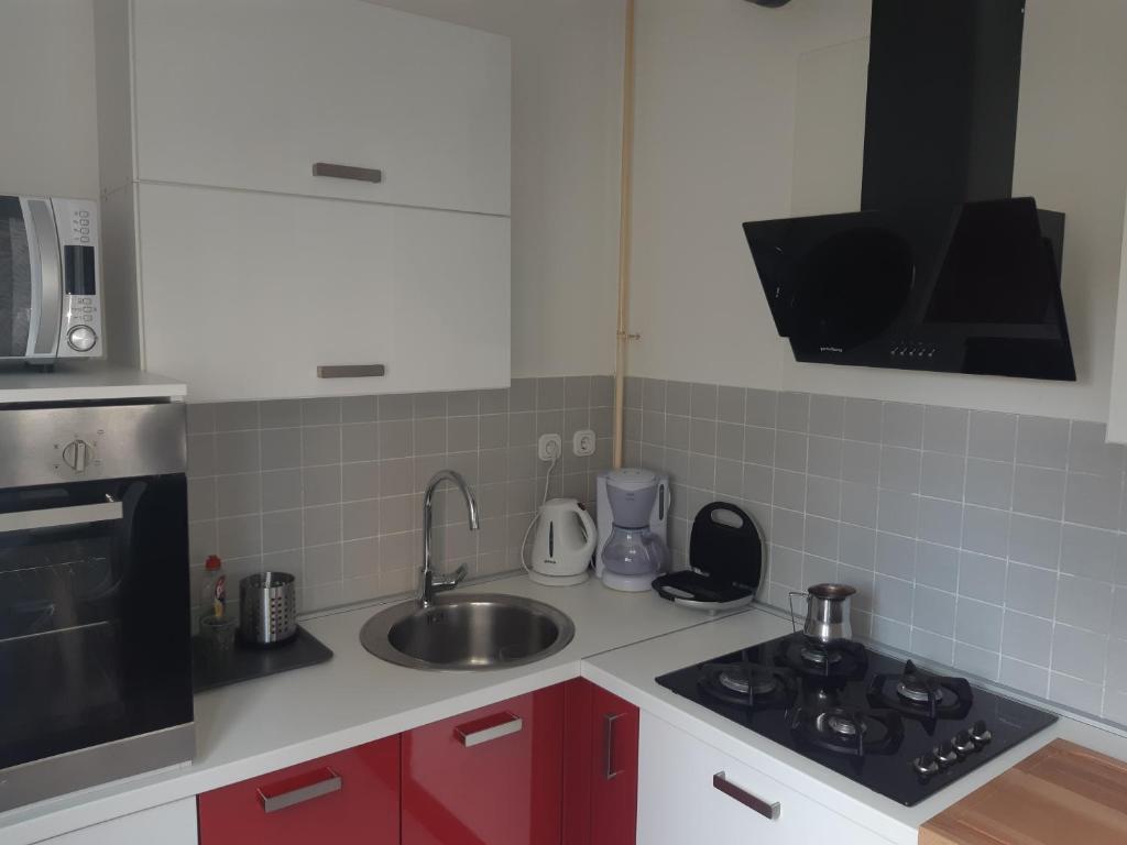 Kuchyňa alebo kuchynka v ubytovaní Apartment with garage Lavici
